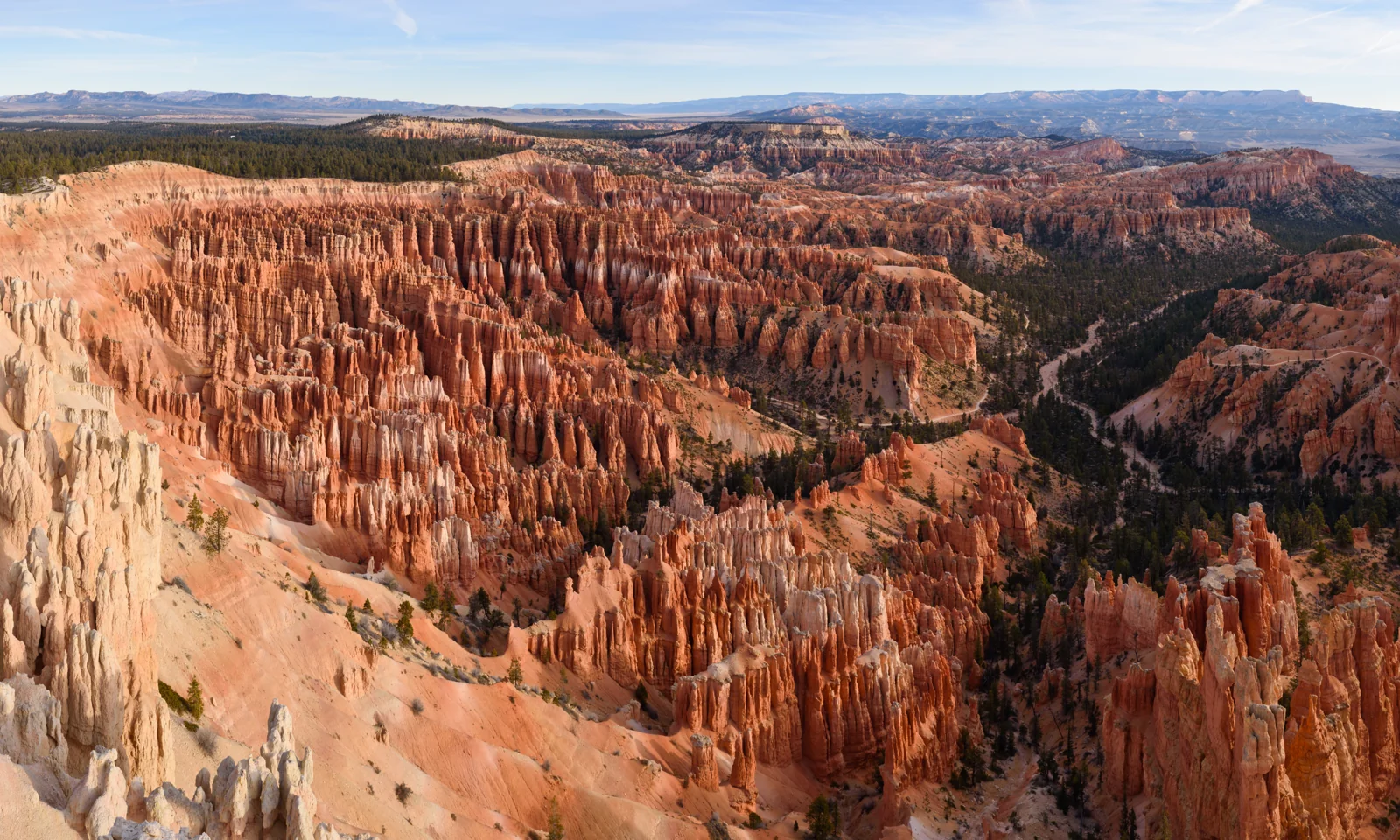 Thousands of orange hoodoos in Bryce Canyon